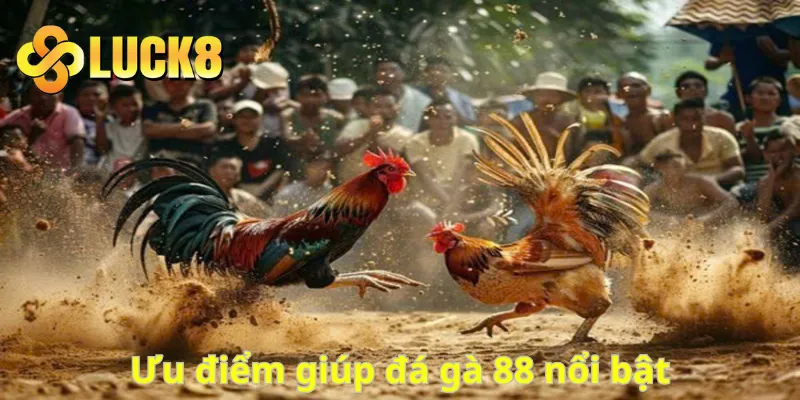 Ưu điểm giúp đá gà 88 nổi bật