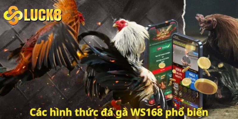 Các hình thức đá gà WS168 phổ biến