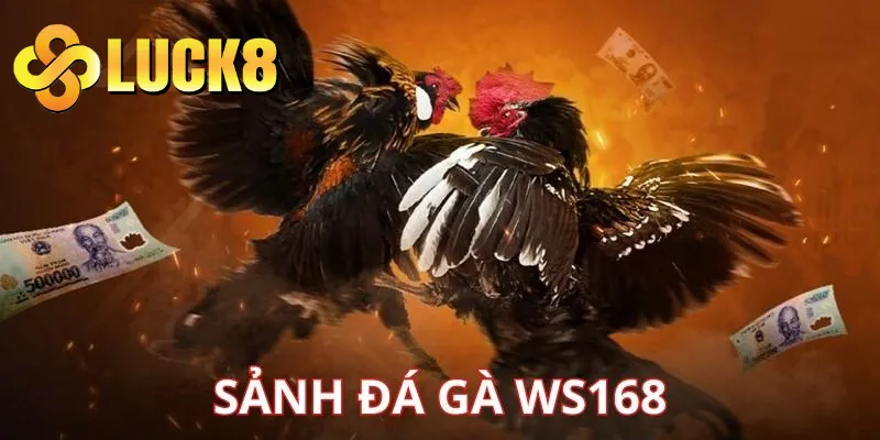 Đá gà WS168