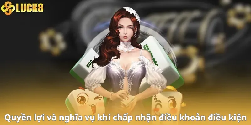 Quyền lợi và nghĩa vụ khi chấp nhận điều khoản điều kiện