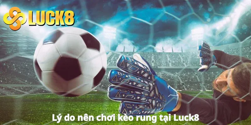 Lý do nên chơi kèo rung tại Luck8