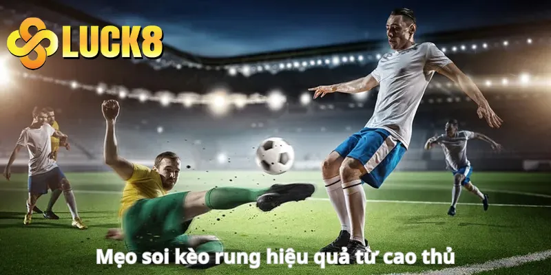 Mẹo soi kèo rung hiệu quả từ cao thủ